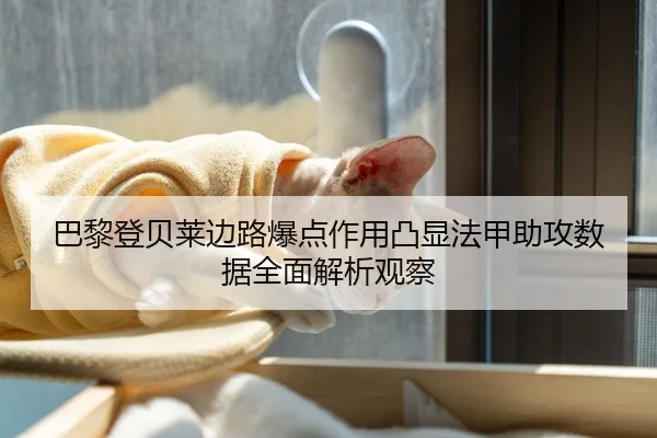 巴黎登贝莱边路爆点作用凸显法甲助攻数据全面解析观察
