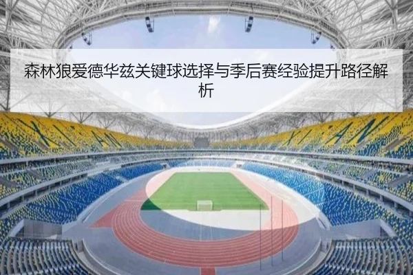 森林狼爱德华兹关键球选择与季后赛经验提升路径解析