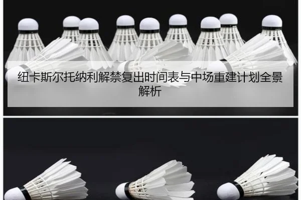 纽卡斯尔托纳利解禁复出时间表与中场重建计划全景解析