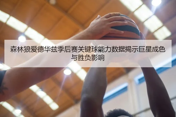 森林狼爱德华兹季后赛关键球能力数据揭示巨星成色与胜负影响