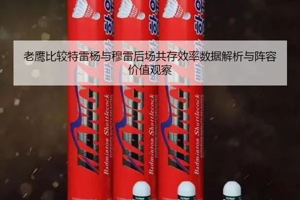 老鹰比较特雷杨与穆雷后场共存效率数据解析与阵容价值观察